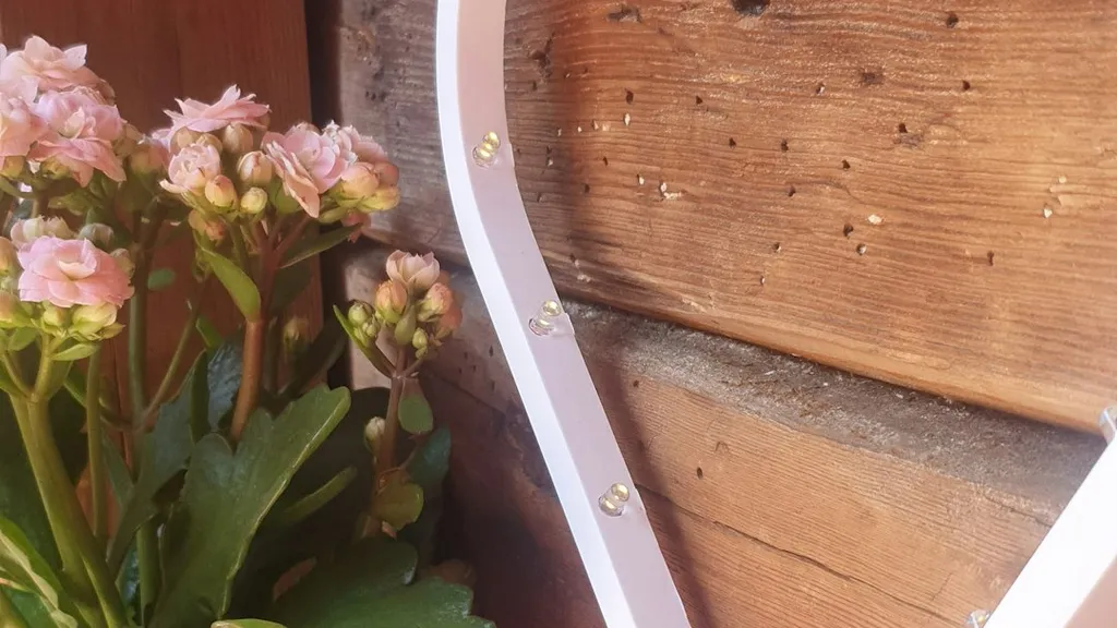 How Do I Find Budget-Friendly Accommodation for Solo Travelers?